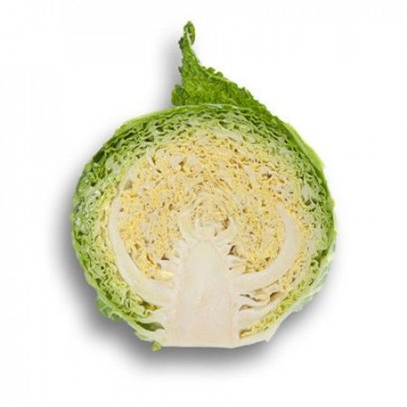 Мадлен F1 семена капусты савойской (Rijk Zwaan / Райк Цваан) в разрезе – фото 3