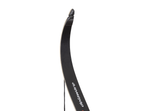 Лук рекурсивный Stinger Delaware, 30 lbs/13,6 кг, длина 56 дюймов, алюминий (SG-BOW-F-30-BLK)