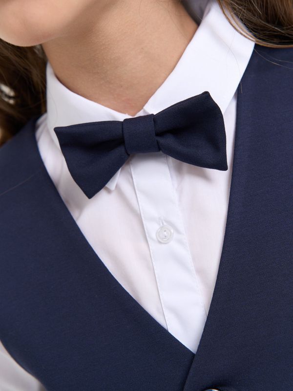 Галстук-бабочка 