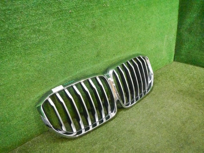 Решетка радиатора BMW X5 G05 (2018-2023)