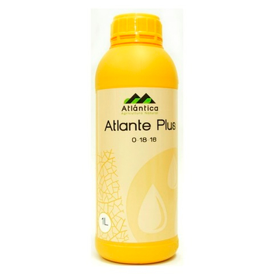 Атланте Плюс