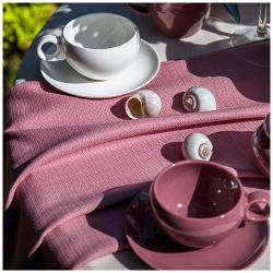 ЧАЙНАЯ ПАРА BRONCO "FUSION" 290 МЛ БРУСНИЧНАЯ (КОР=24НАБ.)