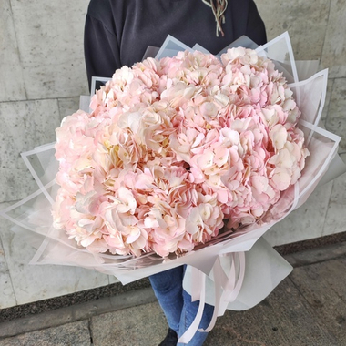 Букет из 9 розовых гортензий