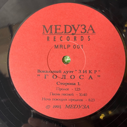 Винтажная виниловая пластинка LP Вокальный Дуэт ЗИКР, Ольга Ткаченко, Игорь Силин, Голоса (Россия 1993)