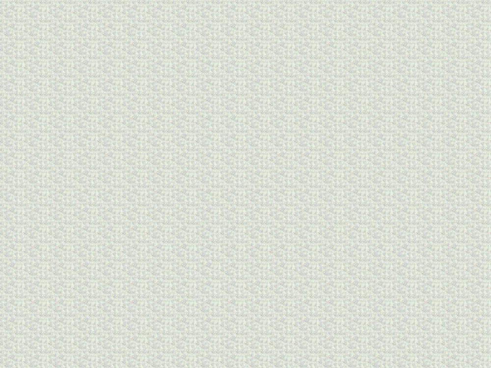 Коллекция FAIRY FOXES