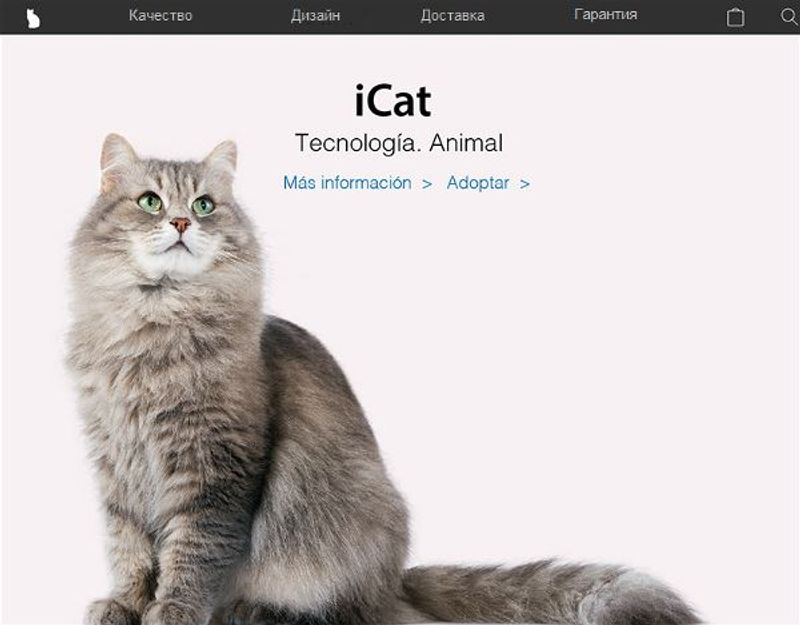 Баннер на главной 1