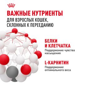 Уценка! Срок 19.07.26/ Сухой корм Royal Canin Appetite Control Care для взрослых кошек — для контроля выпрашивания корма