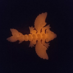 Фигурка сердце подарок на день влюбленных, игрушка сердце дракончика, 3D печать, светящийся красно-оранжевым