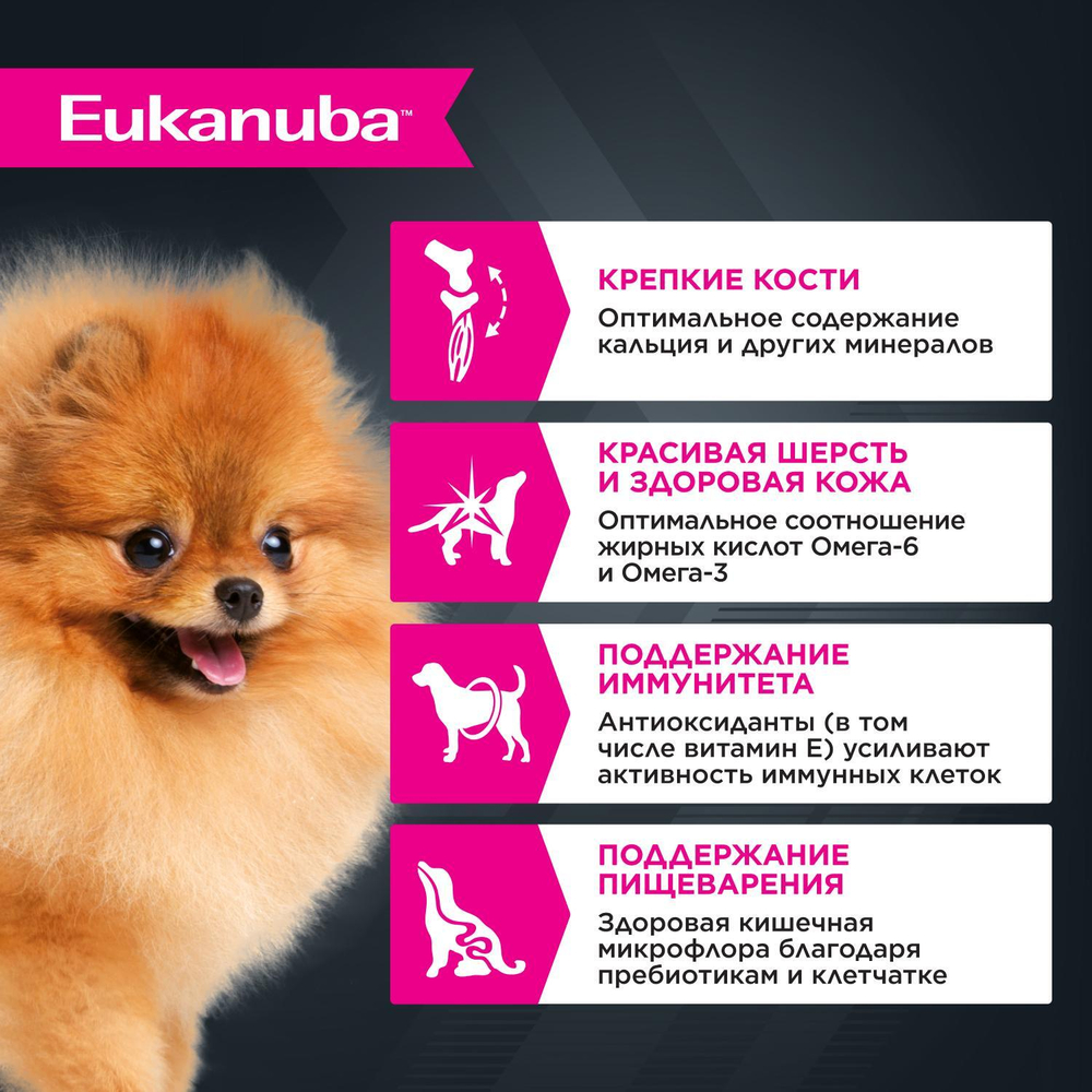 Eukanuba паучи для взрослых собак с говядиной 100 г