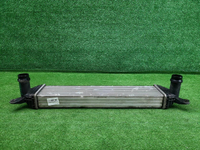 Интеркулер Tank 300 (2021-н.в.)