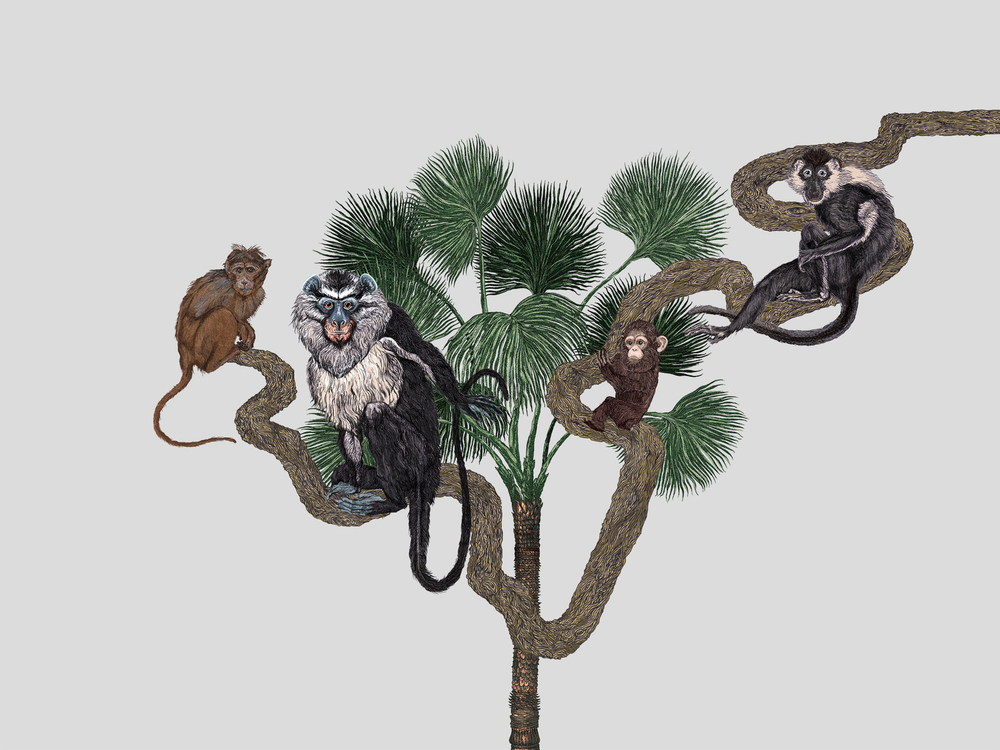 Коллекция ZOO 21