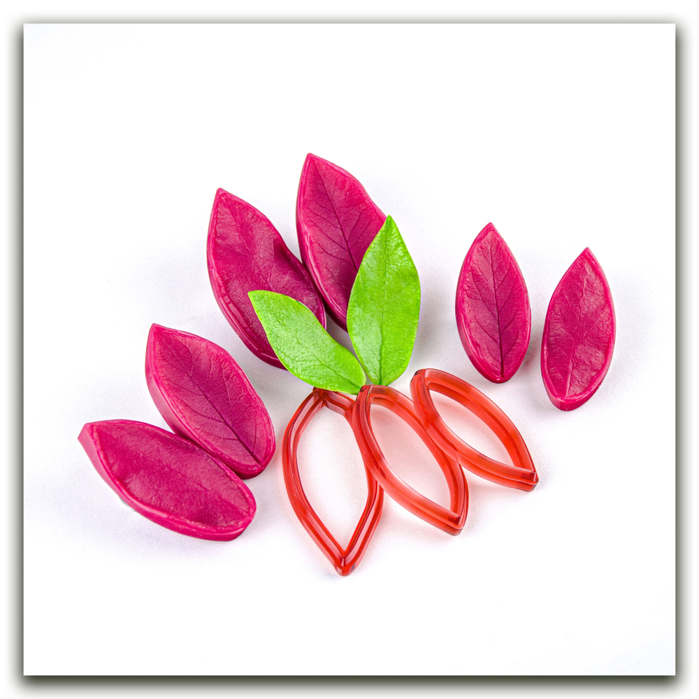 Листья жимолости