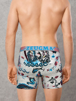 Мужские трусы-боксеры Doreanse Zeugma (Размер: M) (Цвет: серый)