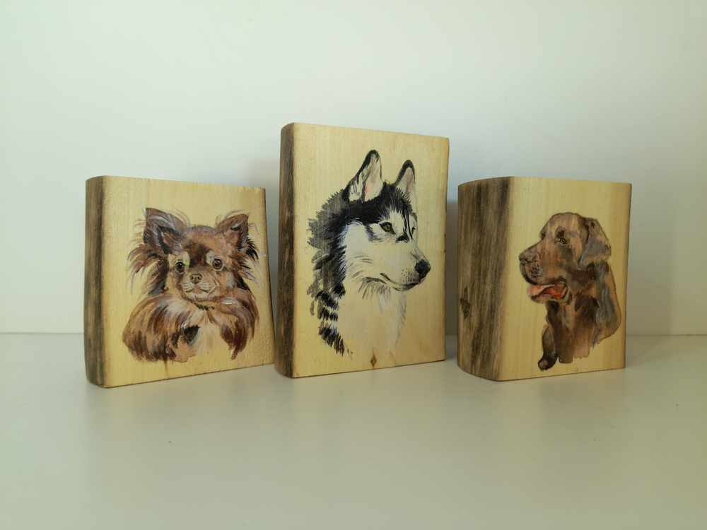 Рисунки на срезах дерева. Мини-панно.