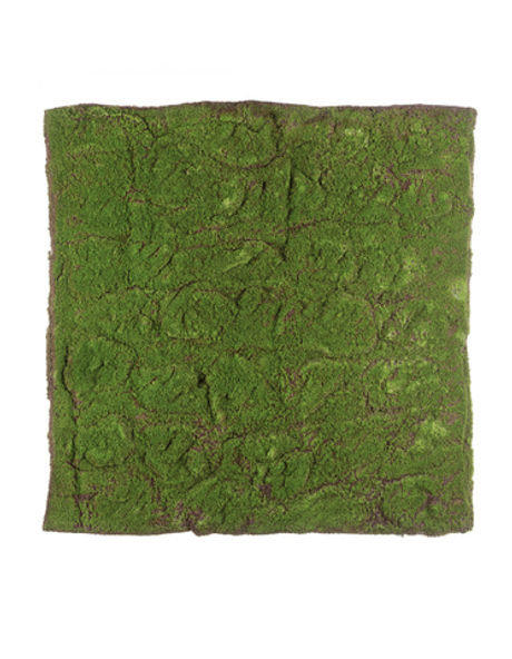 Мох полотно