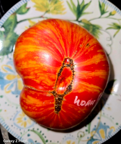 ПЛОЩАДЬ СВЯТОГО ИОАННА БОРЕГАРД