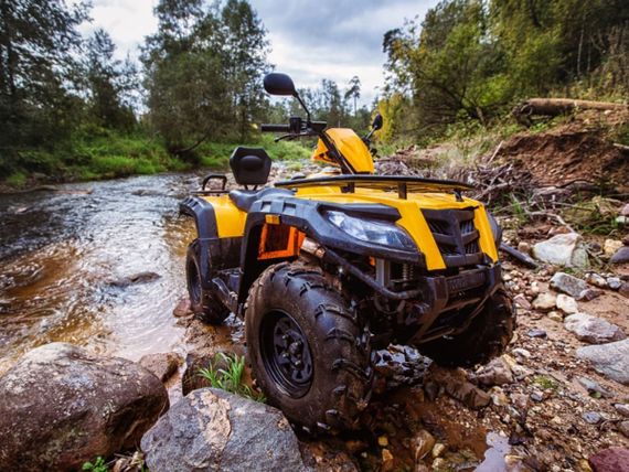 Квадроцикл РМ Рысь 500