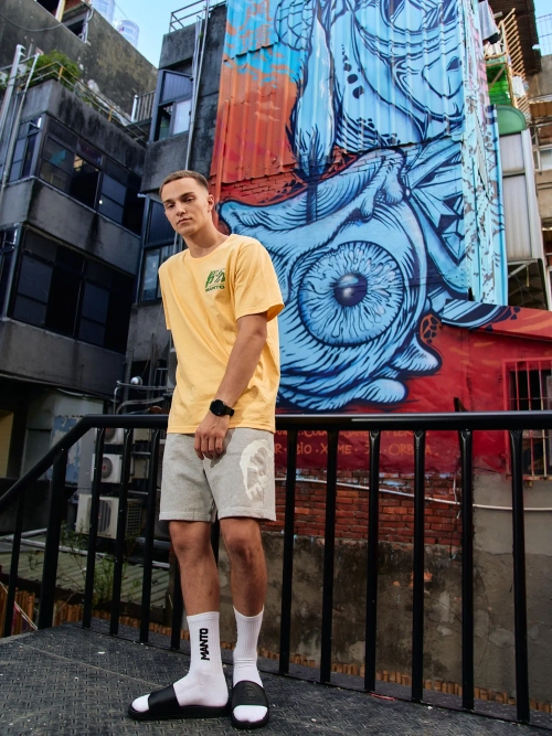 Шорты MANTO LOGO серые