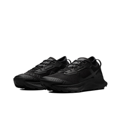 Мужские кроссовки Nike Pegasus Trail 3 Gore-tex 'Black' DC8793-001