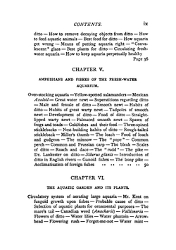 The aquarium | John Ellor Taylor