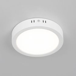 Citilux Галс CL5516N Светильник накладной светодиодный