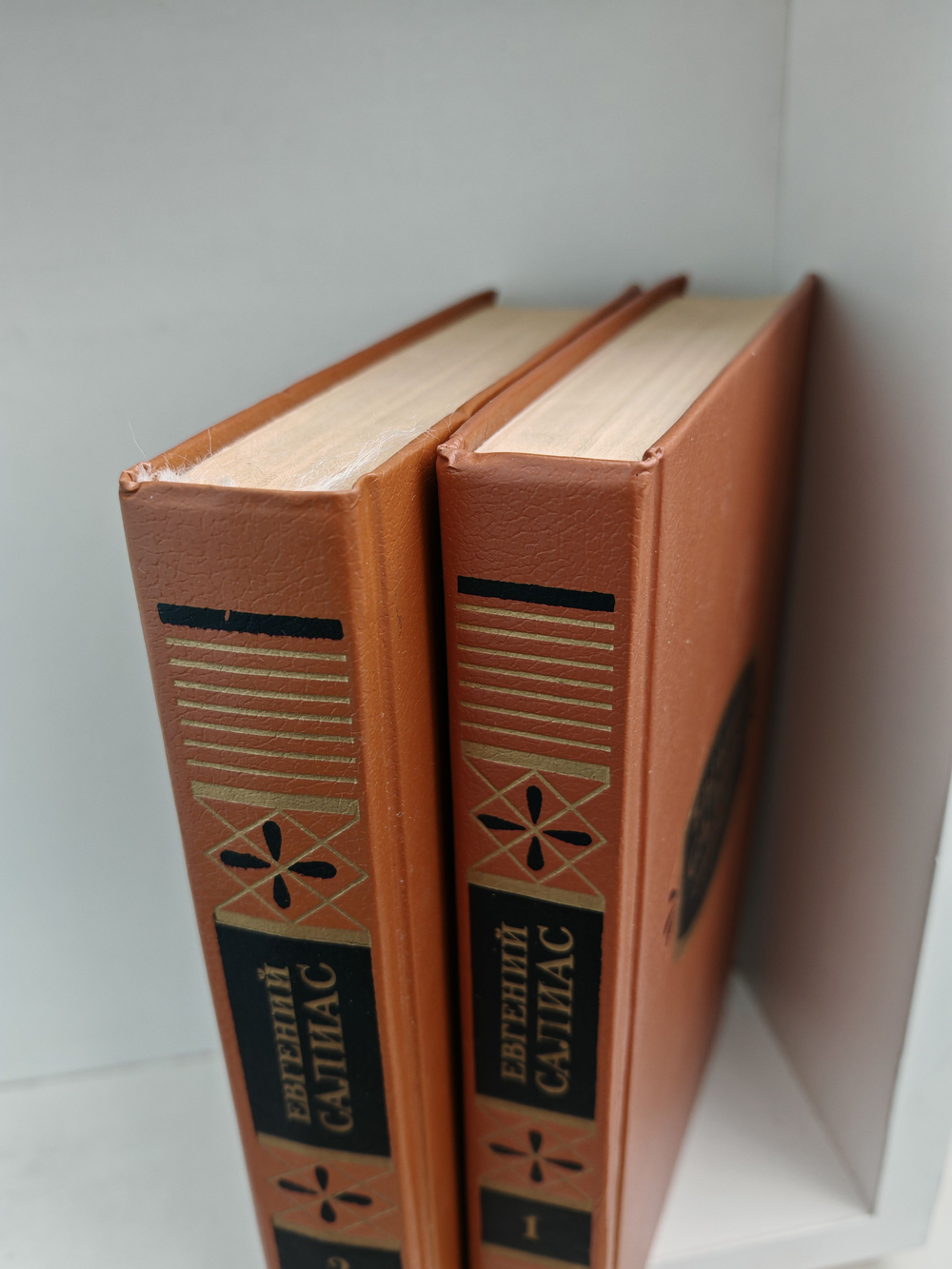 Евгений Салиас. Сочинения в двух томах (комплект из 2 книг)