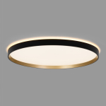 Потолочный светодиодный светильник Citilux Etalon CL750501R