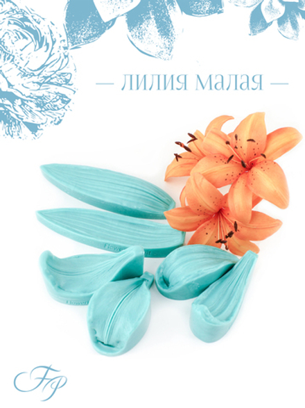 Лилия малая