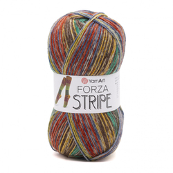 Forza Stripe