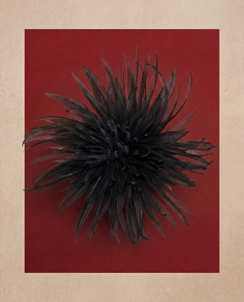 Астра брошь черный