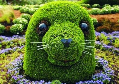 Топиарная фигура Голова тюленя