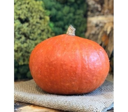 Тыква Русский Деликатес 3шт Ц Марс