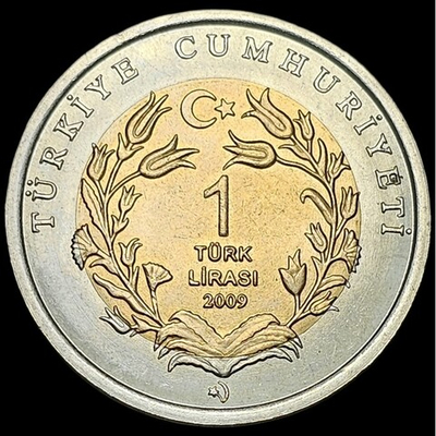 Морская черепаха