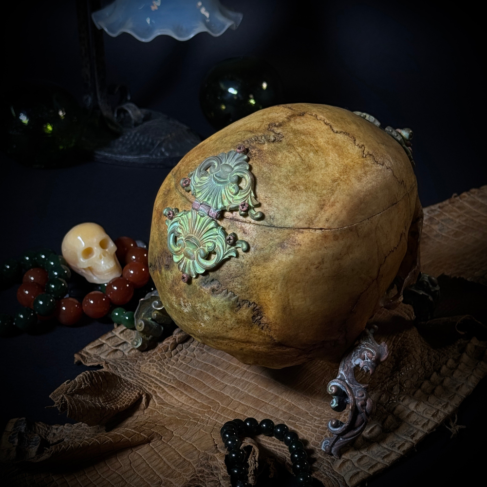 Шкатулка «Headcrab»