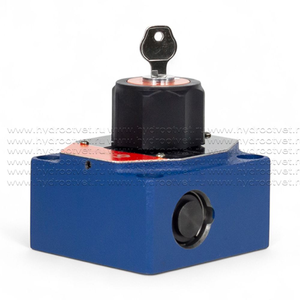 2FRM10-2X/50LB - Регулятор расхода Ду10 для монтажа на плиту, номинальный расход 50 л/мин, регулировка компенсатора - В = есть