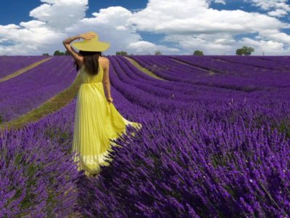 Лавандовые поля и озеро Салда