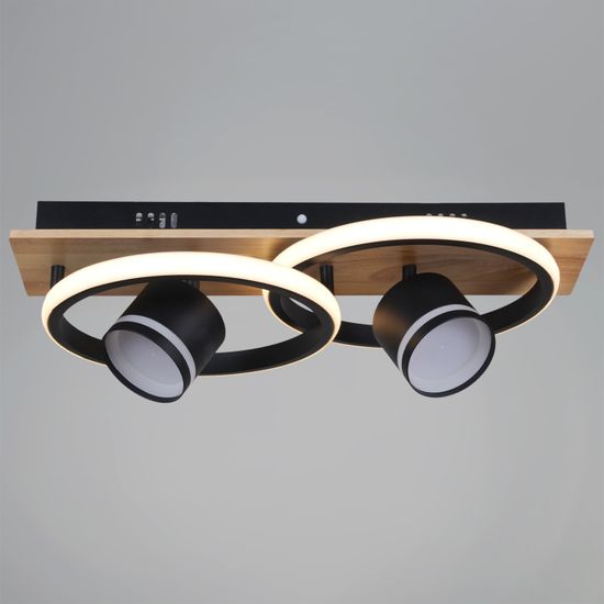 29560-0.3-2+2 BK+WOOD светильник потолочный