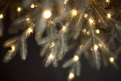 Ель Леара 215 см., 1000 LED ламп, Литая хвоя+ПВХ, серебристая, Black Box (74434)