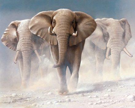 Картины по номерам 40х50 Три слона (VA-3287)