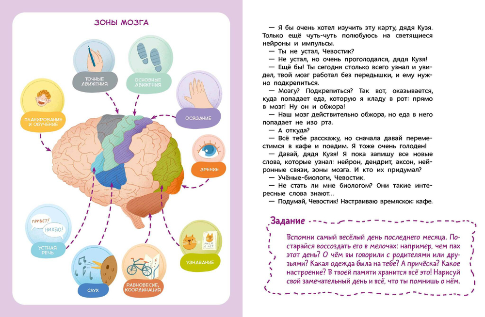 Как устроен мозг. Чевостик (мягкая обложка)