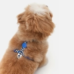 Анатомическая шлейка Midnight Safari