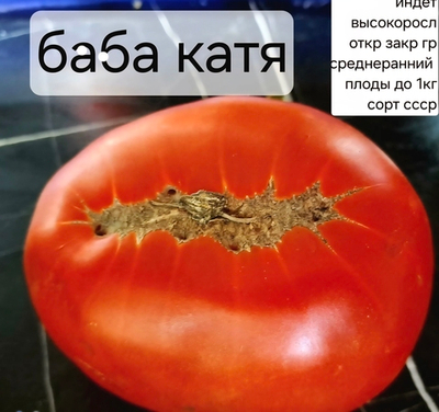 РАССАДА ТОМАТОВ БАБА КАТЯ