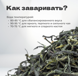 Чай зеленый Маофэн "Ворсистые Пики", весна 2024 г, 30 гр в банке
