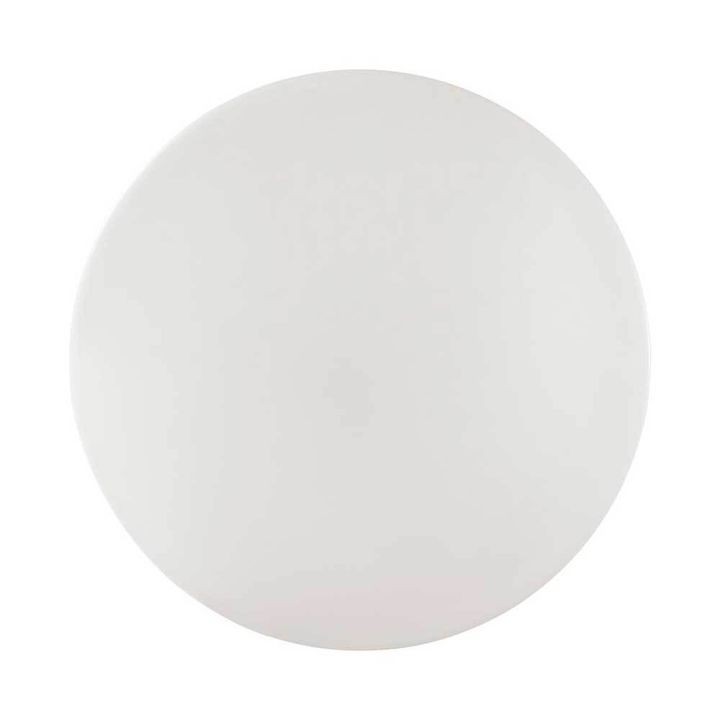 Настенно-потолочный светодиодный светильник Sonex Pale Vale 3040/CL