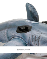 Игрушка для плавания верхом Акула 173х107см от 3 лет 57525/1224301 (Intex)