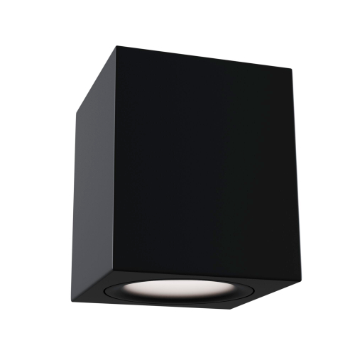 Потолочный светильник Technical C013CL-01B