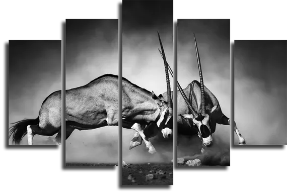 Модульная картина "Бой антилоп"
