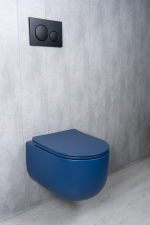 Унитаз подвесной Tornado Gid Tr2133TF-BUM 62301Y синий матовый 49x36x34