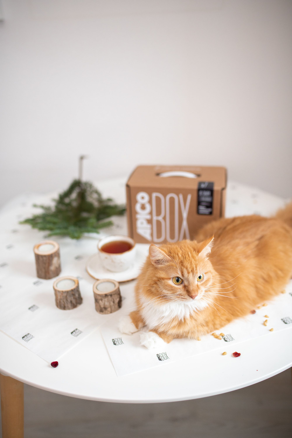 Набор продуктов APICO BOX №7 "Из Сибири с любовью", подарочный набор из 9-ти продуктов из Сибири, Новогодний подарок