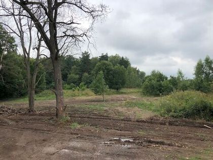 В «Романовском Парке – 2» появится зона отдыха